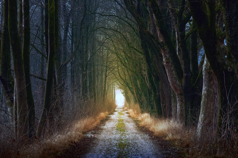Fairy-tale Image